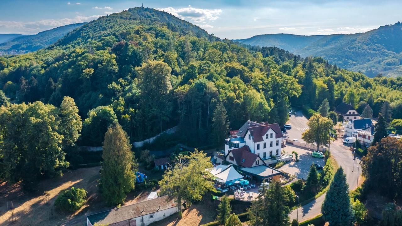 Hotel La Garenne Саверн Экстерьер фото